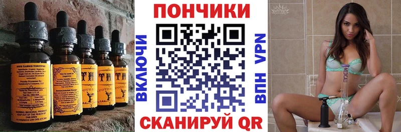 Canna-Cookies марихуана  где купить   Сольвычегодск 