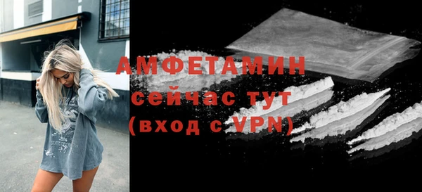 мдпв Вяземский