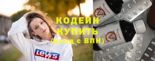 мдпв Вяземский