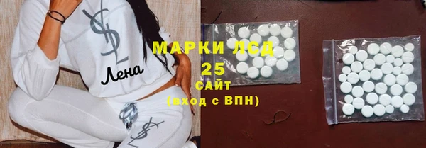 мдпв Вяземский