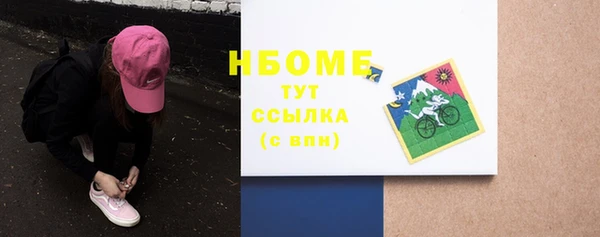 мдпв Вяземский
