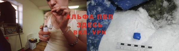 мдпв Вяземский