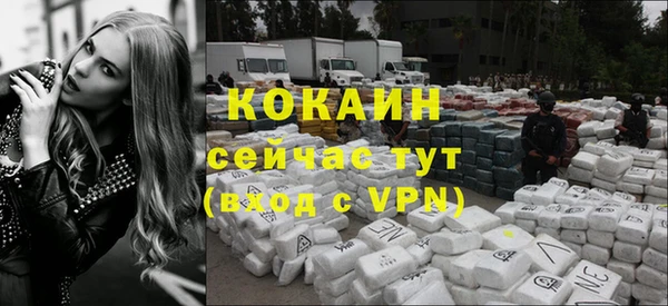 крисы Вязники