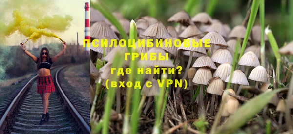 крисы Вязники