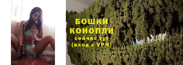 мдпв Вяземский