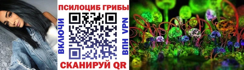 Галлюциногенные грибы ЛСД  Сольвычегодск 