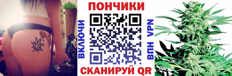 Бошки марихуана семена  хочу наркоту  Сольвычегодск 